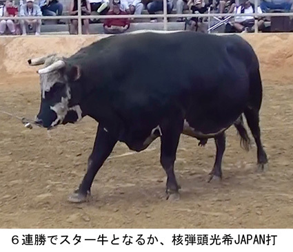春選抜花形大闘牛大会