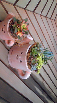 寒いね〜♪ 2013/02/08 10:35:26