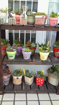 納品しました♪ 2013/02/14 08:29:16