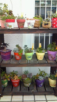 納品しました♪ 2013/03/14 15:05:07