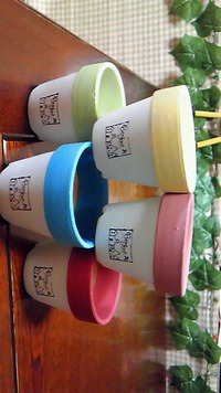 ペイント鉢♪ 2013/04/26 15:01:11