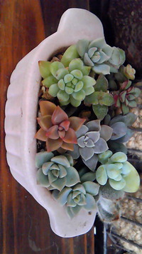 納品☆ 2013/05/17 08:35:55