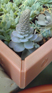 ムシムシ( -_-) 2013/06/01 09:29:18