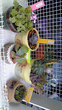 明日、納品！ 2013/06/12 16:35:46