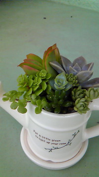 ありがとうございました(^Q^)/^ 2013/07/08 10:06:49