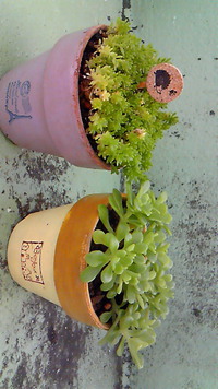 納品予定！ 2013/06/26 14:38:07
