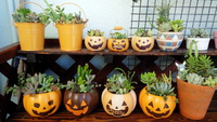 ハロウィン♪ 2013/09/12 21:38:00