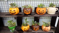 納品(*^^)v 2013/09/19 08:35:29
