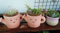 まだまだ暑いです！ 2013/09/17 16:13:18