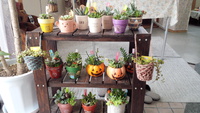 納品しました☆ 2013/10/31 09:02:59