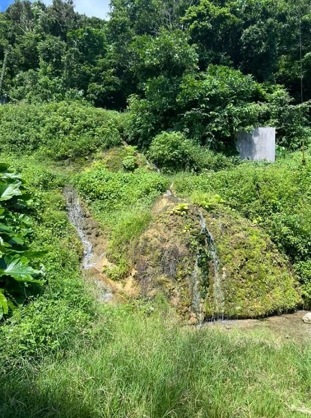 垣花樋川