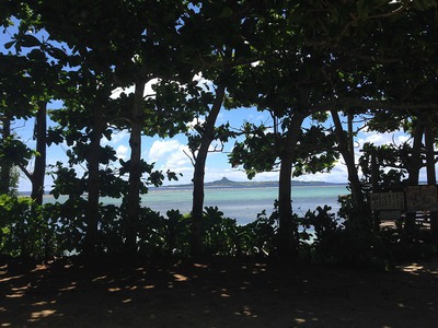 沖縄北部　観光パワースポット　備瀬のワルミ、フクギ並木　ハートロック