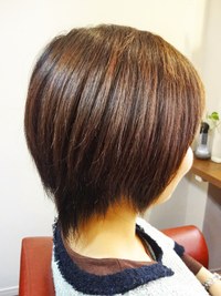 My Album ヘアースタイル写真集 By タックスヘアールーム