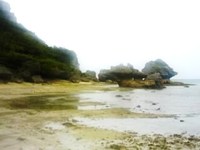 浜辺で昼食会♪ 2014/05/02 18:06:10