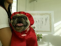 愛犬の敬老会♪ 2013/09/23 11:35:07