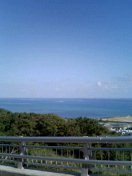 思いだして！ 2009/01/24 09:43:36