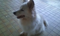 おばあちゃん 2009/07/14 12:00:23