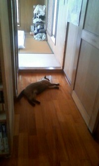 のほほん(￣∀￣) 2010/10/06 14:42:00