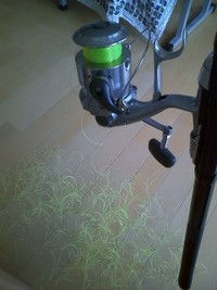 楽しみ(o＾─＾o)ﾆｺｯ