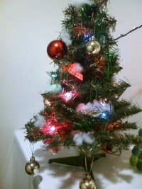 クリスマスヽ(*＾ω＾*)ﾉ 2010/12/11 10:00:00