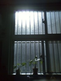 いい天気!(b^ー°) 2010/12/18 10:57:25