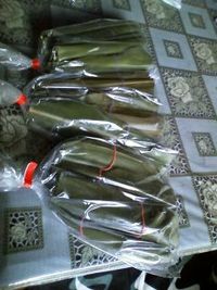 ムーチーびーさ(∋_∈) 2011/01/11 15:21:18