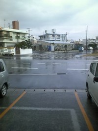 雪・・。 2011/01/16 17:47:40