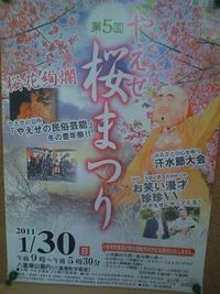 桜祭りo(^-^)o 2011/01/25 13:54:08