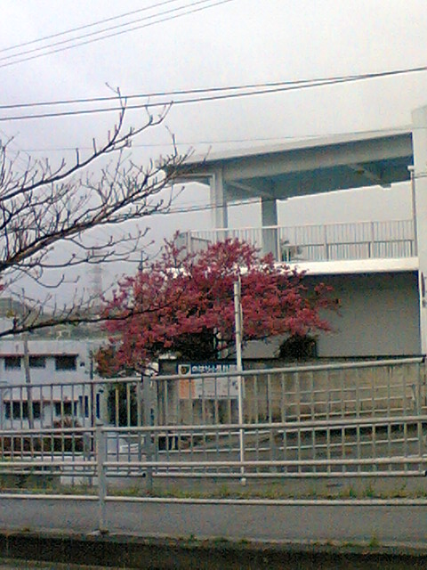 二月ですね～（＾＾）