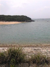 ☆ちょぃ釣り☆