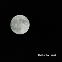 5月5日　Super Moon