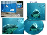 ６月　沖縄アルバム＊美ら海水族館 2010/08/15 20:15:00