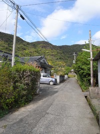 奄美☆写真 2011/03/29 00:49:00