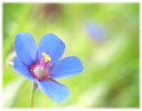 奄美☆写真 2011/04/03 18:22:00