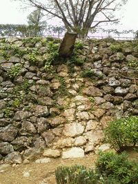 高知城を訪ねて 2011/11/07 01:40:04