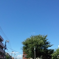 東京の日常＊近所を歩いてみた。。 2012/08/22 03:21:16
