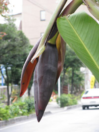 オソロなフタリ