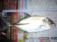 きたぁぁぁ!!!!!! 2009/02/18 12:03:25