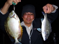釣果報告～b(⌒o⌒)d 2009/01/17 13:21:52