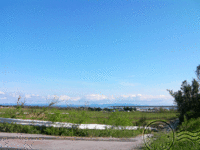 8時。 2013/01/21 11:15:22