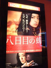 八日目の蝉