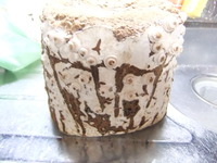 我が家で作る旬の味覚①