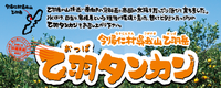 だいこんの花のあいあいファーム　たんかん編 2012/12/15 13:33:08