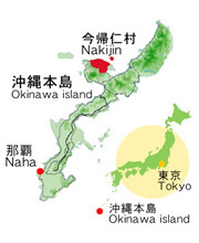だいこんの花のあいあいファームご紹介 2012/12/12 12:08:06