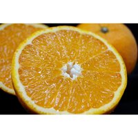 だいこんの花の乙羽タンカン〜販売を終了いたしました〜 2013/01/12 16:57:39