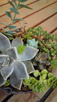 雨降って…(^O^) 2011/07/14 12:58:48