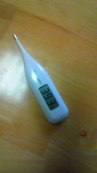 やっぱり(￣ﾛ￣；) 2011/08/25 10:01:39