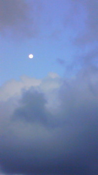運動(^o^; 2011/09/15 15:50:06