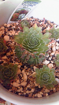 どうなる？台風・・・ 2011/09/17 10:30:05