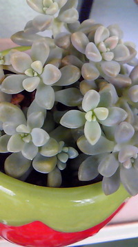 大丈夫かな？ 2011/11/10 10:33:43